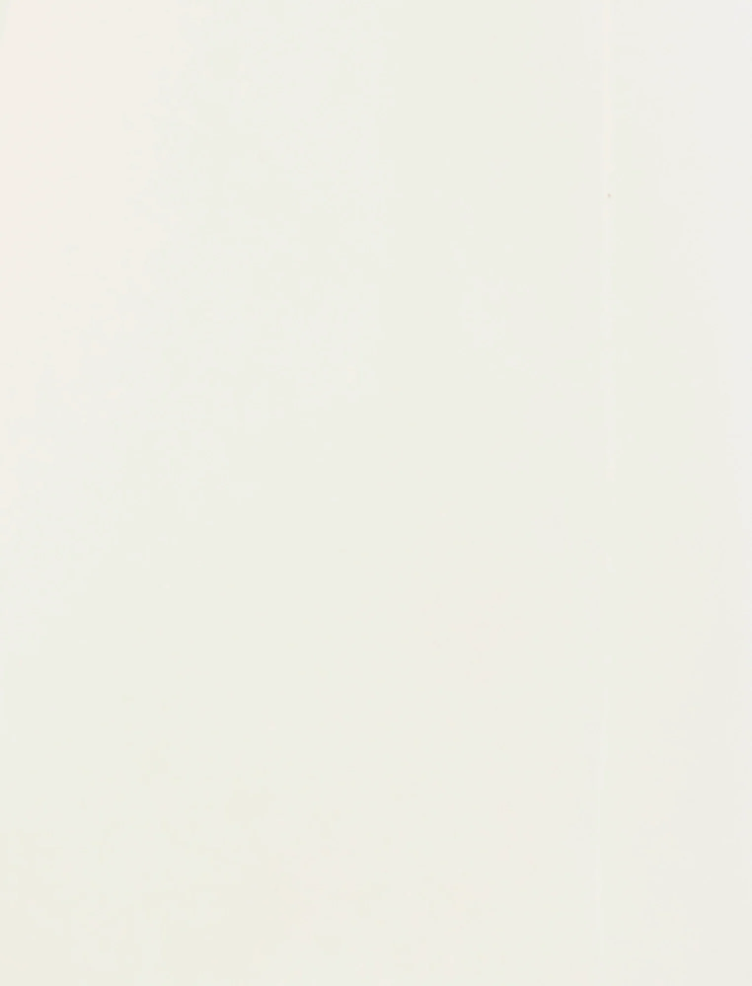 Pleat Front Wide Leg Pant - Builderot