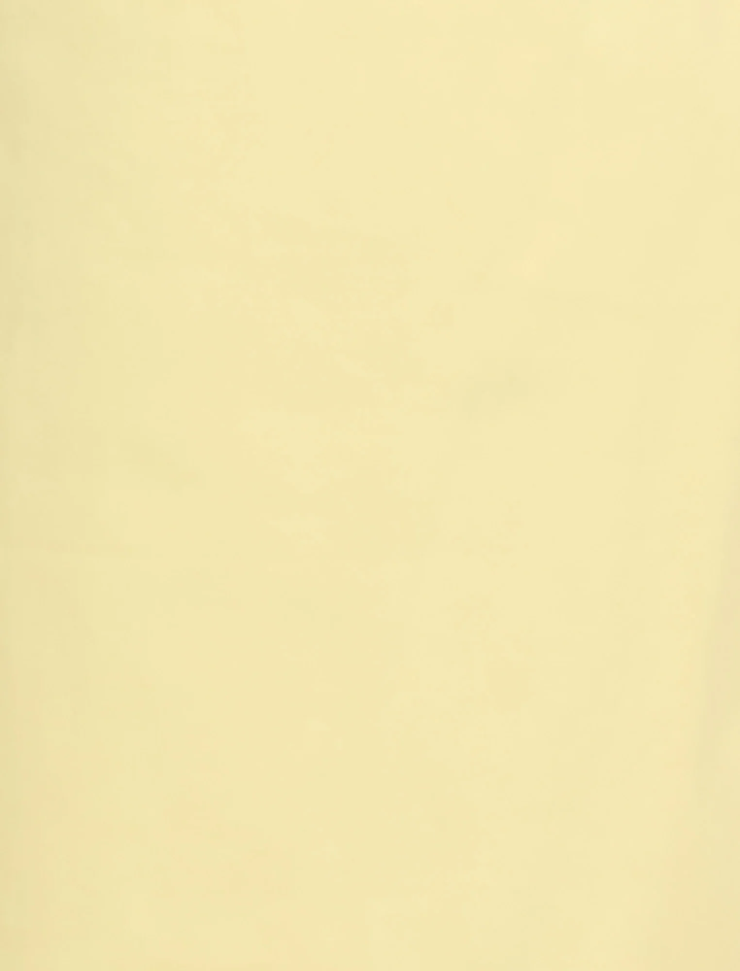 Twill Vest - Builderot